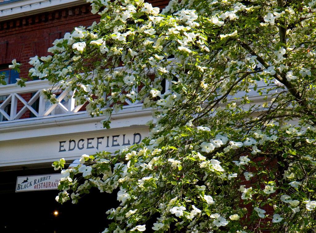 Готель Mcmenamins Edgefield Траутдейл Екстер'єр фото